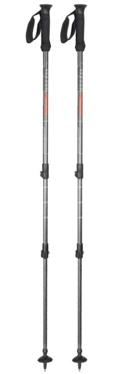 Bâton Lafuma Access Pairs Steel Grey