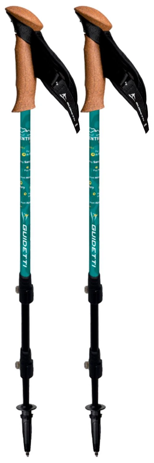 Bâton Guidetti Région Massif Central Noir 1 Bâton Guidetti Région Massif Central Noir