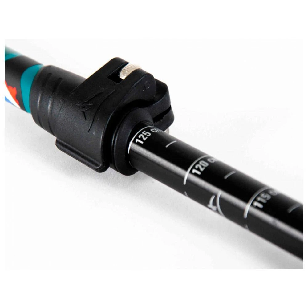 Bâton Guidetti Région Massif Central Noir 4 Bâton Guidetti Région Massif Central Noir – Image 4