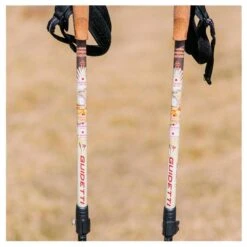 Bâton Guidetti Région St Jacques De Compostelle Beige -Camping Produits Boutique 8f381844f1e5810147ccc9b45a45fd005fa2cce2 E23GUIDBAT378890 GUID0714432 908