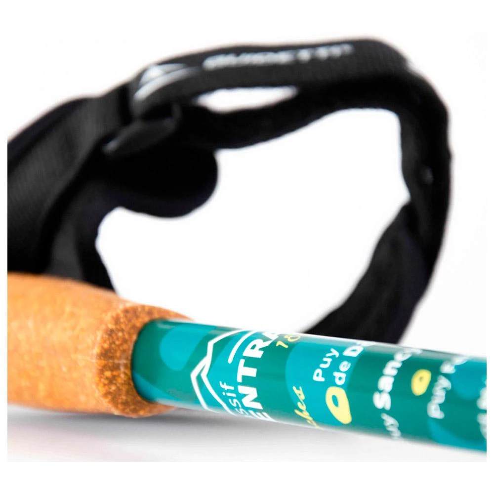 Bâton Guidetti Région Massif Central Noir 6 Bâton Guidetti Région Massif Central Noir – Image 6