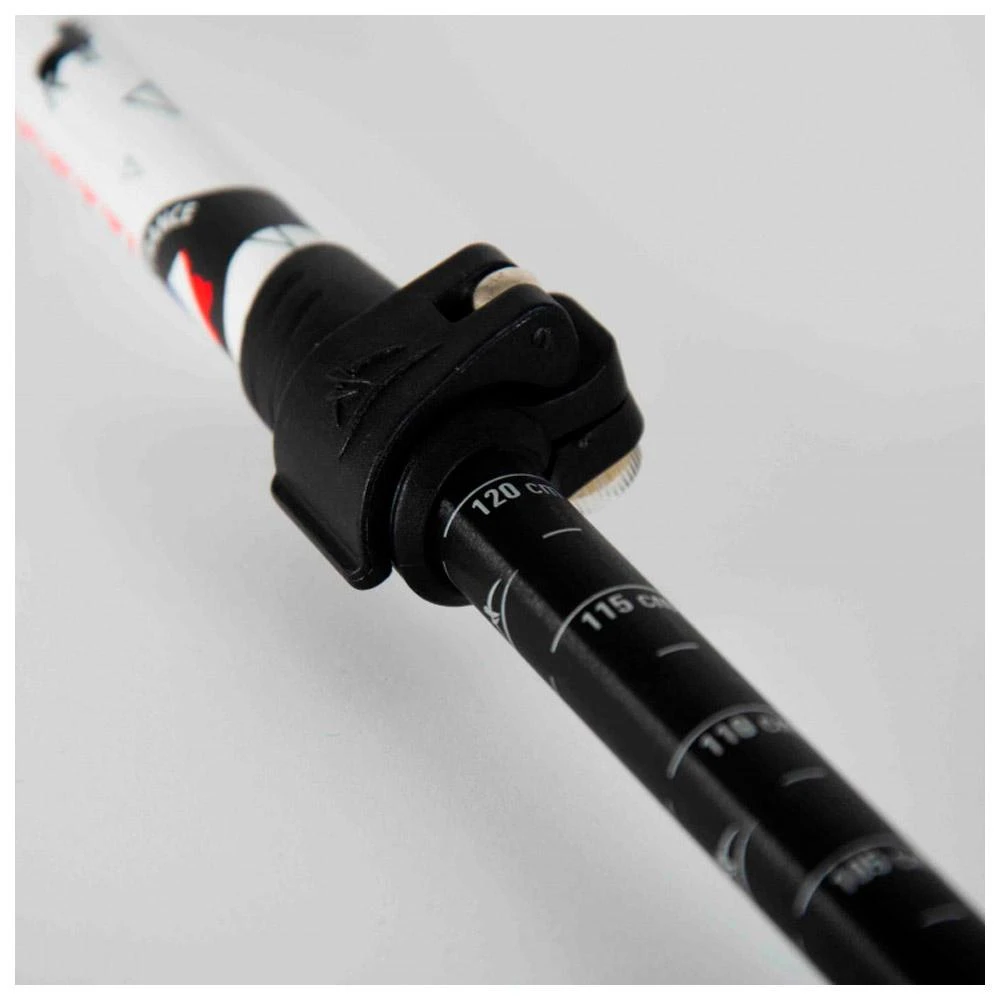 Bâton Guidetti Région Massif De Corse Blanc Noir 7 Bâton Guidetti Région Massif De Corse Blanc Noir – Image 7